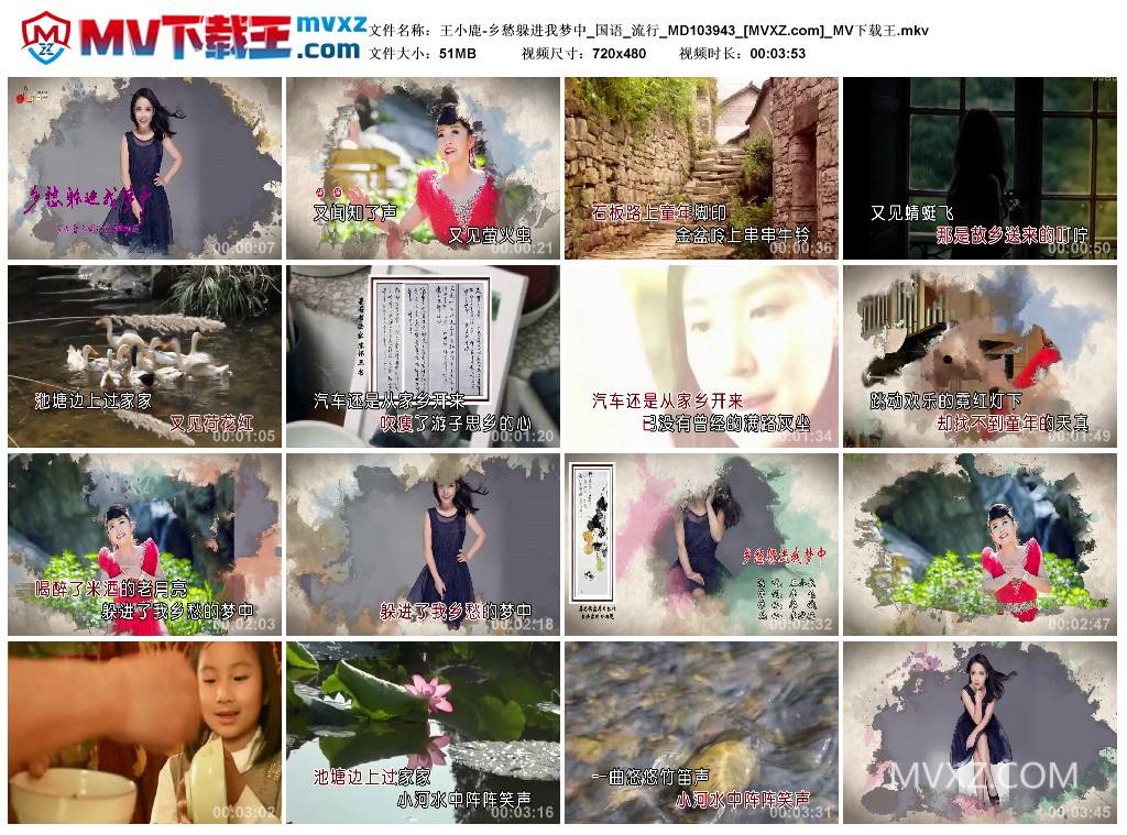 王小鹿-乡愁躲进我梦中_国语_流行_MD103943